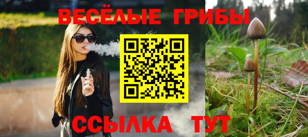 Кострома  купить наркотики сайты  Вход с VPN  Галлюциногенные грибы GOLDEN TEACHER 