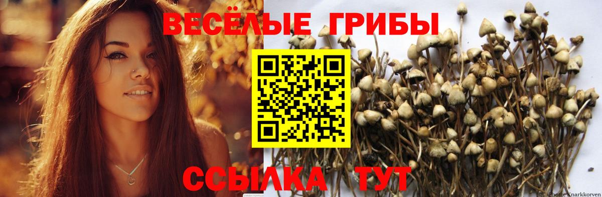 Галлюциногенные грибы прущие грибы Кострома